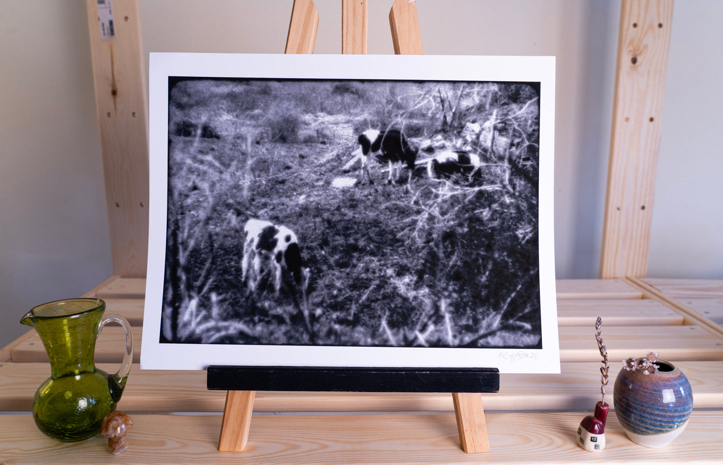 cows fine art print