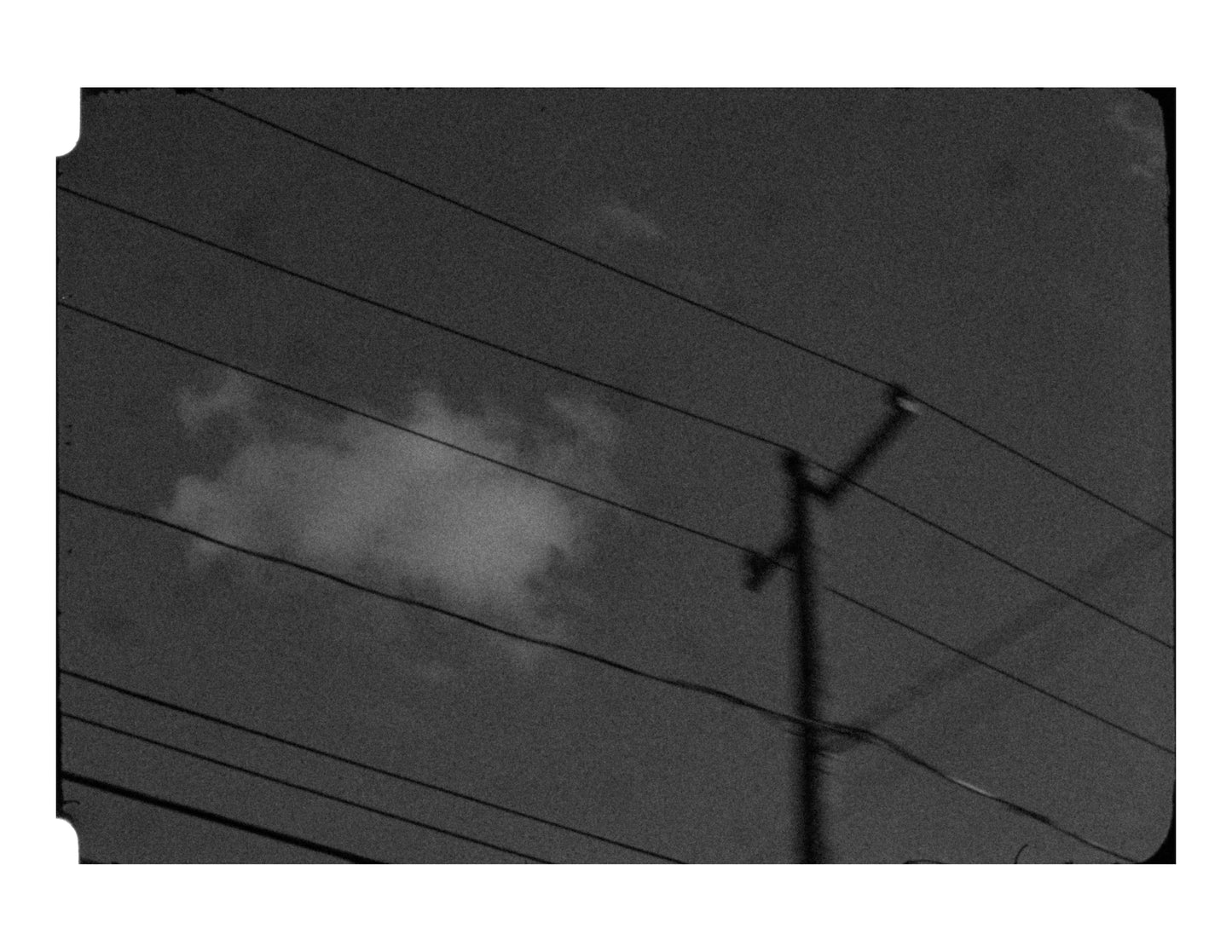 telephone wires fine art print