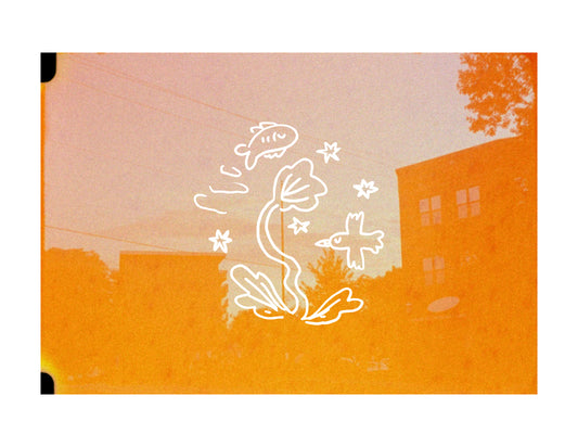 bird and fish over buildings fine art print