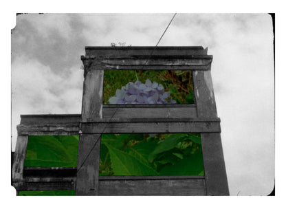 abandoned mill building with hydrangeas fine art print