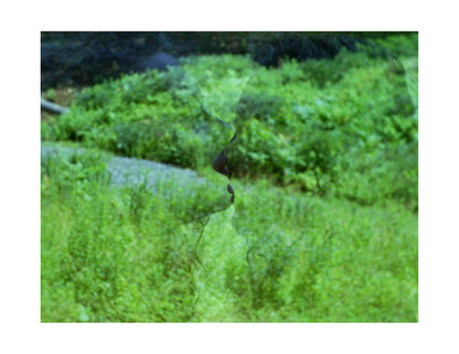 double exposed fine art print